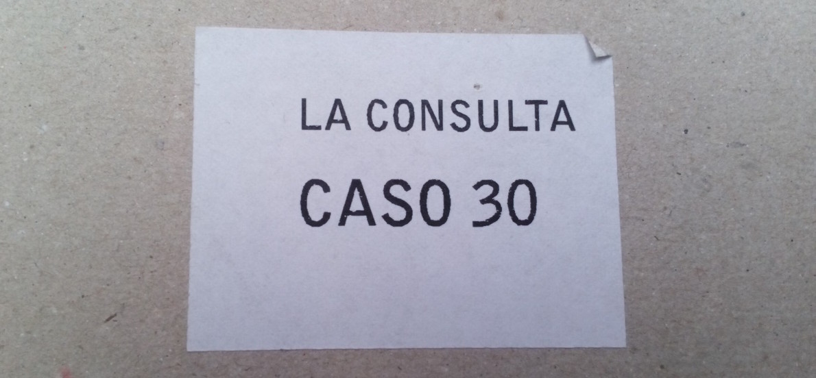 La Consulta: CASO 30